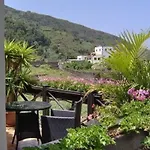 Mit Blick Auf Wasser By Interhome * Icod De Los Vinos